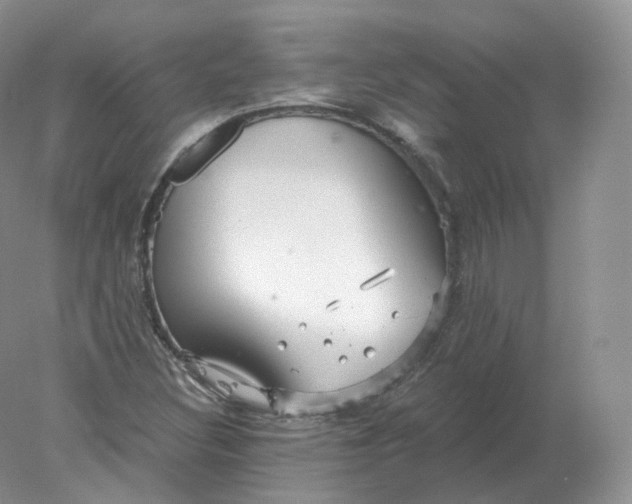 X0000078301308200611172138