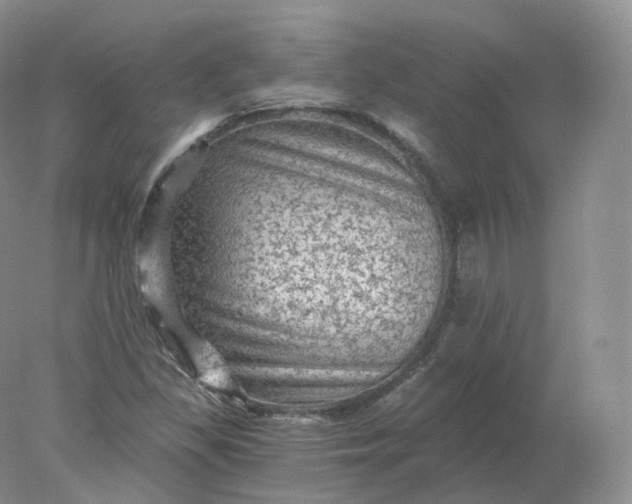 X0000078301309200611172138