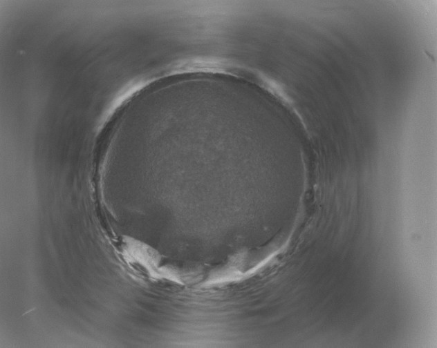 X0000078301312200611172138