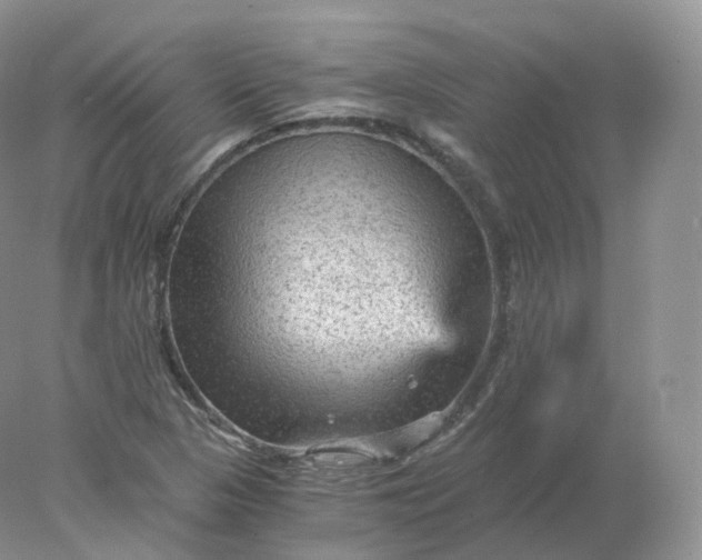 X0000078301313200611172138