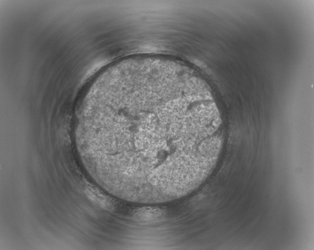 X0000078301314200611172138