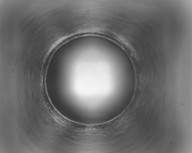 X0000078301316200611172138