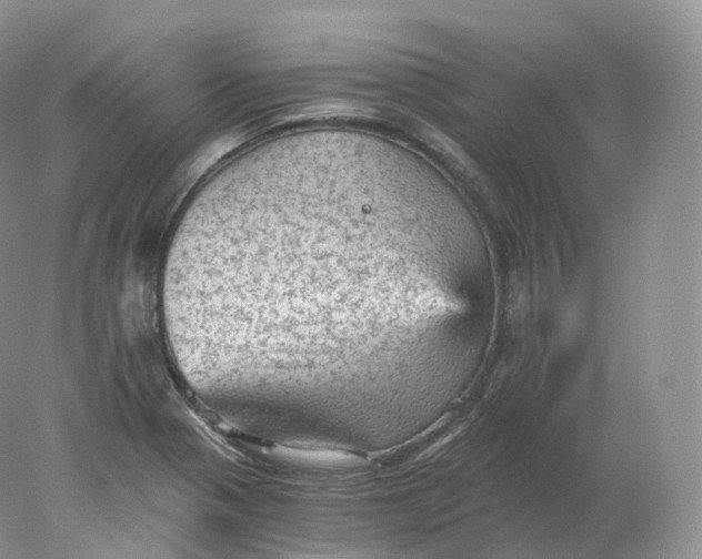 X0000078301321200611172138