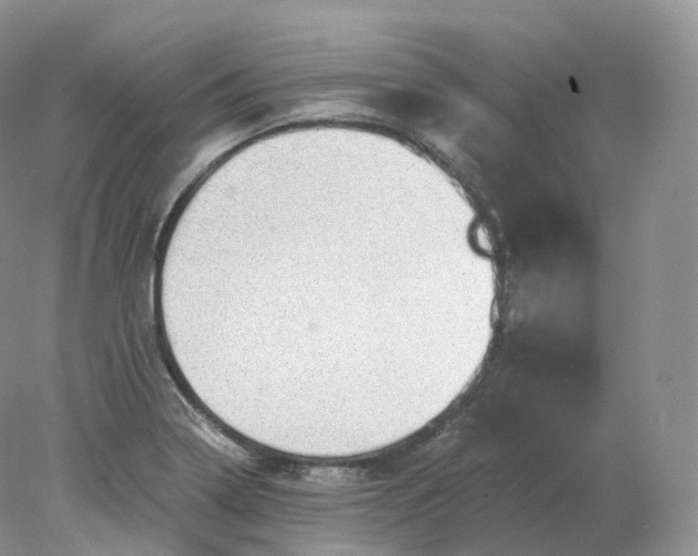 X0000078301322200611172138