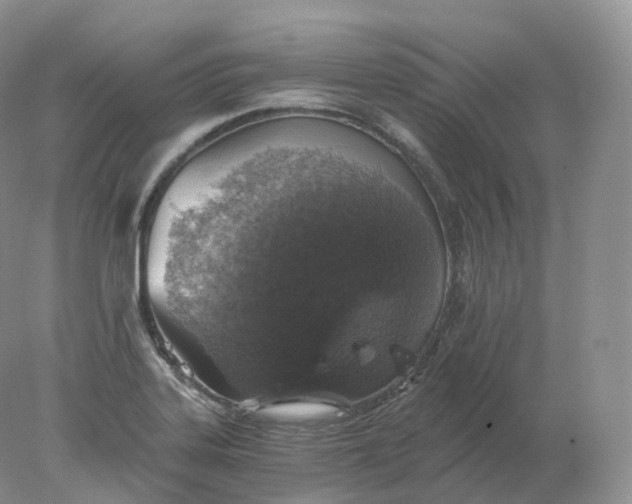 X0000078301323200611172138