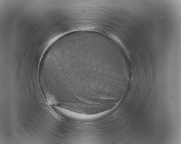 X0000078301324200611172138