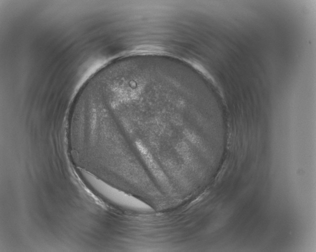 X0000078301325200611172138