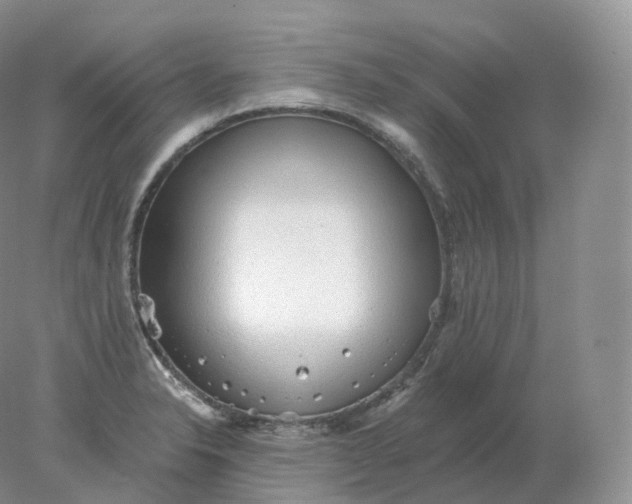 X0000078301326200611172138