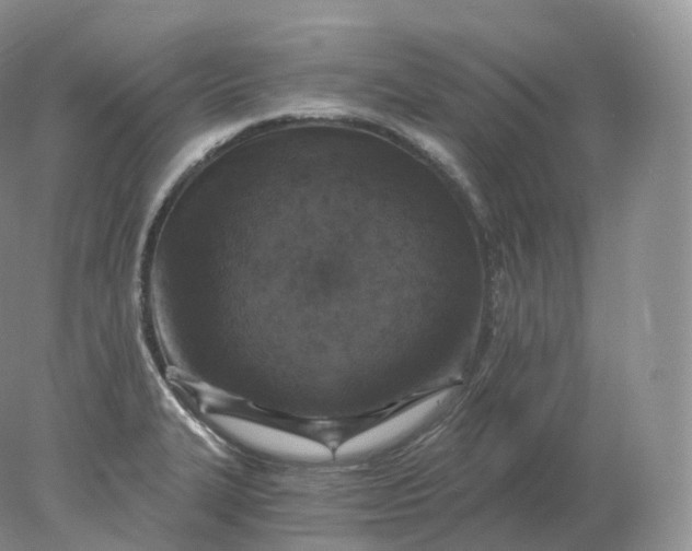 X0000078301327200611172138