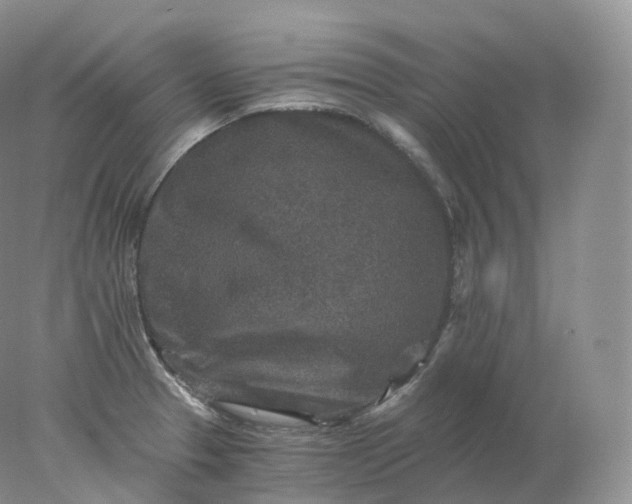 X0000078301329200611172138