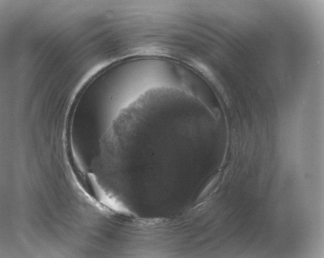 X0000078301331200611172138