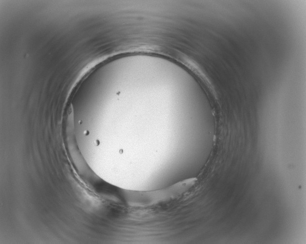 X0000078301332200611172138