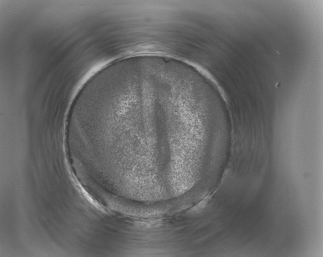 X0000078301333200611172138