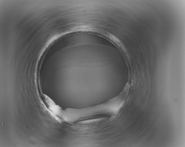 X0000078301334200611172138