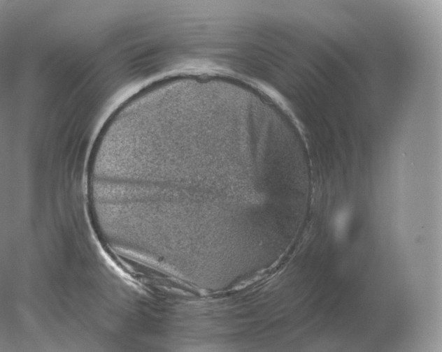 X0000078301335200611172138