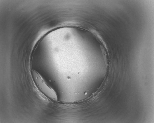 X0000078301336200611172138