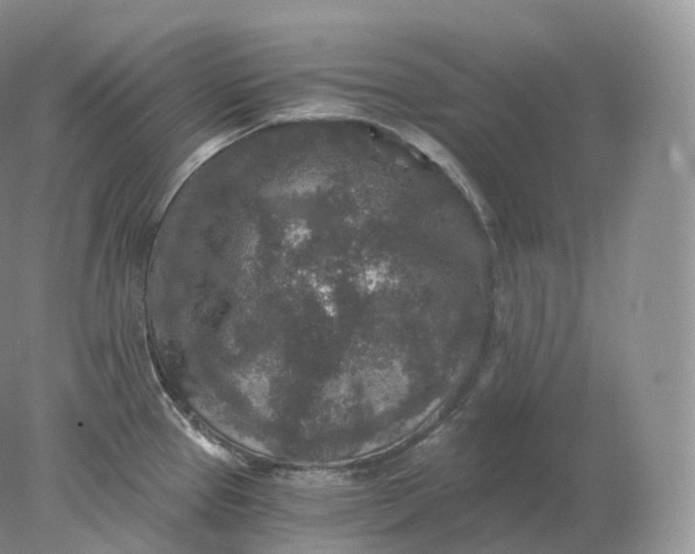 X0000078301337200611172138