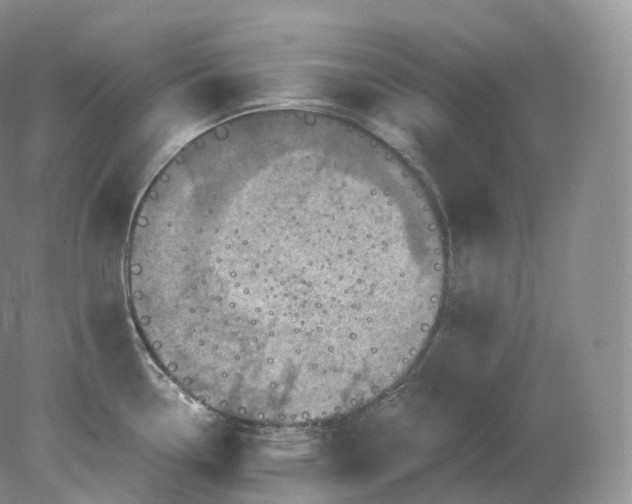 X0000078301338200611172138