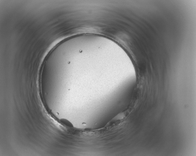 X0000078301339200611172138