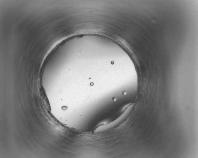 X0000078301340200611172138