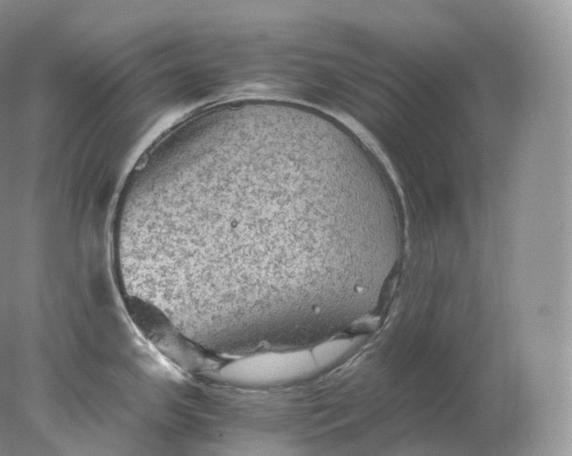 X0000078301341200611172138