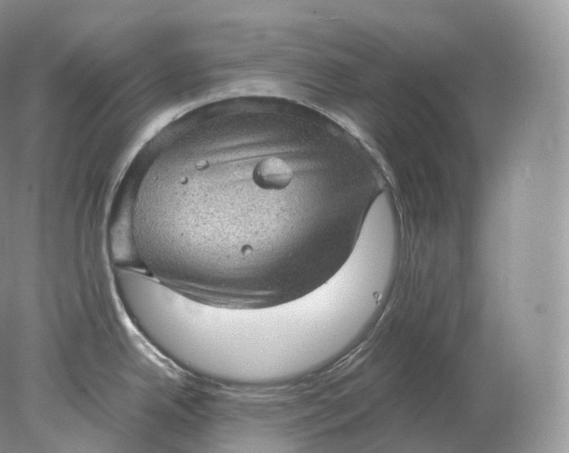 X0000078301342200611172138