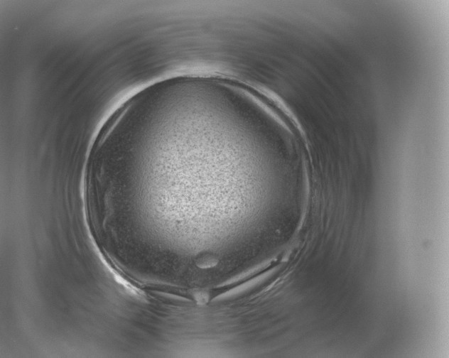 X0000078301343200611172138