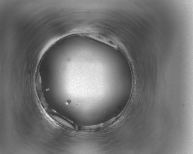 X0000078301344200611172138