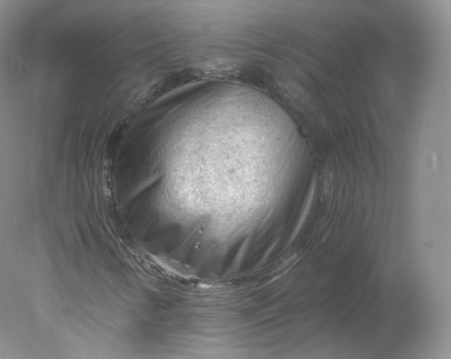 X0000078301346200611172138