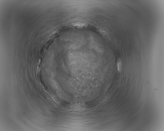 X0000078301347200611172137