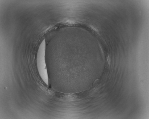 X0000078301348200611172137