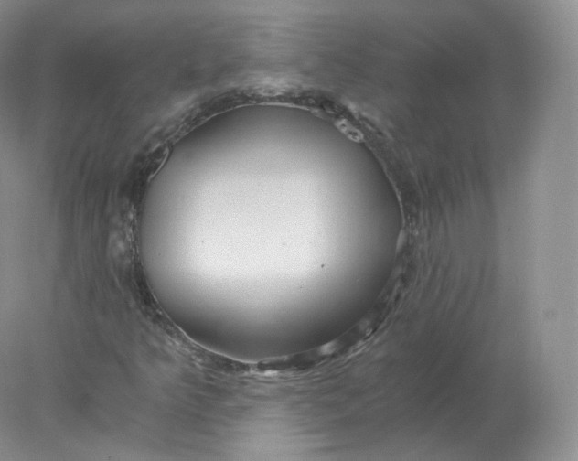 X0000078301349200611172137