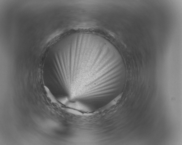 X0000078301350200611172137