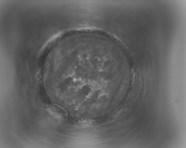 X0000078301351200611172137