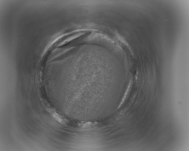 X0000078301352200611172137