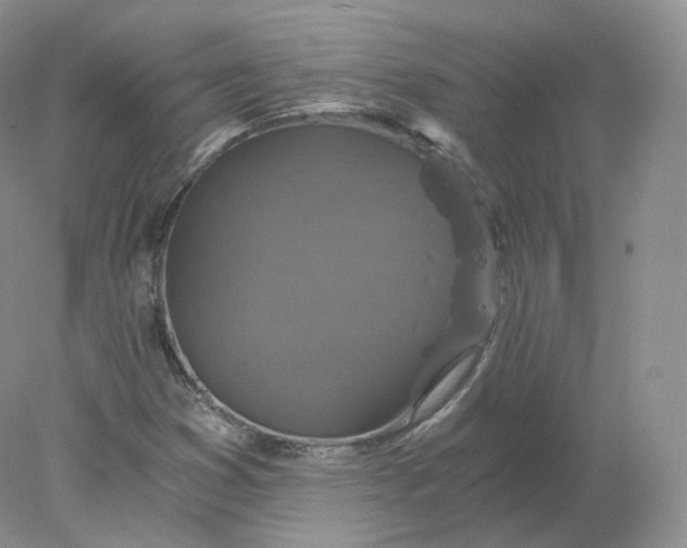 X0000078301353200611172137