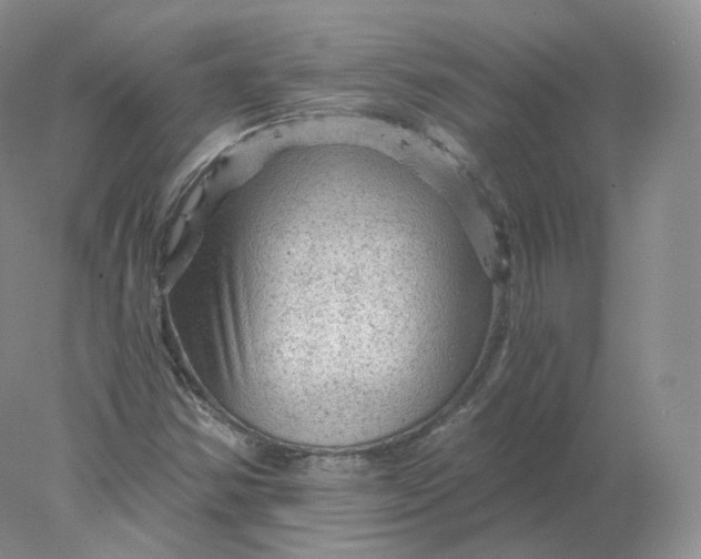 X0000078301354200611172137