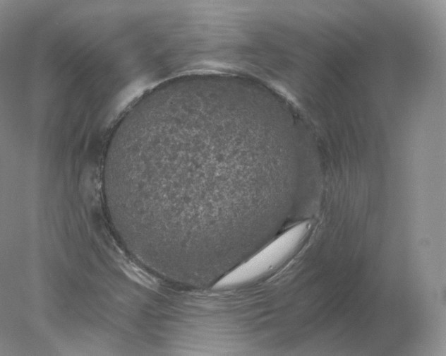 X0000078301355200611172137