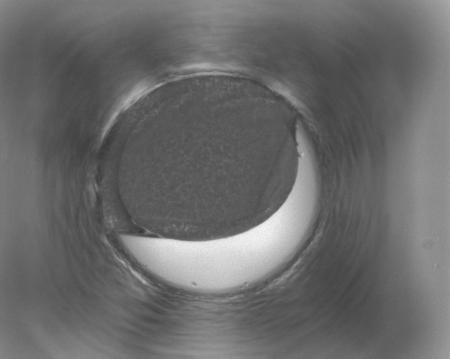 X0000078301357200611172137