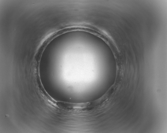 X0000078301360200611172137