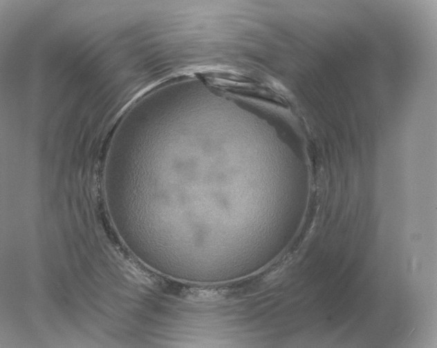 X0000078301361200611172137