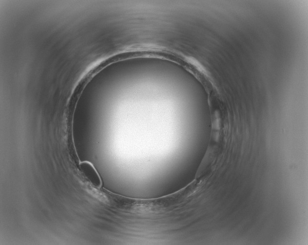 X0000078301364200611172137