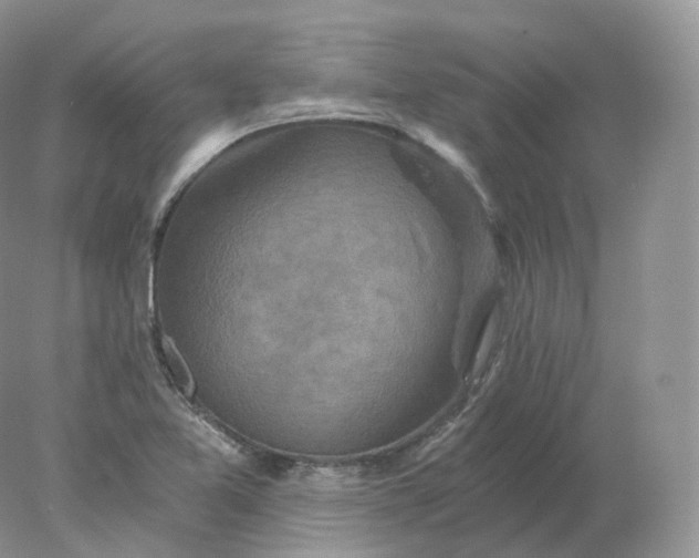 X0000078301365200611172137