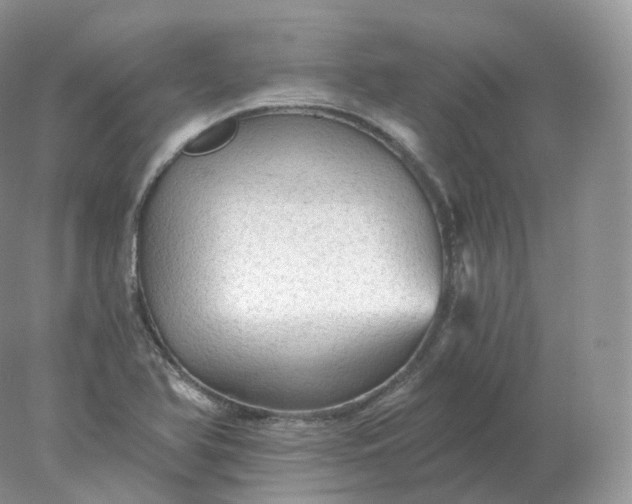 X0000078301366200611172137