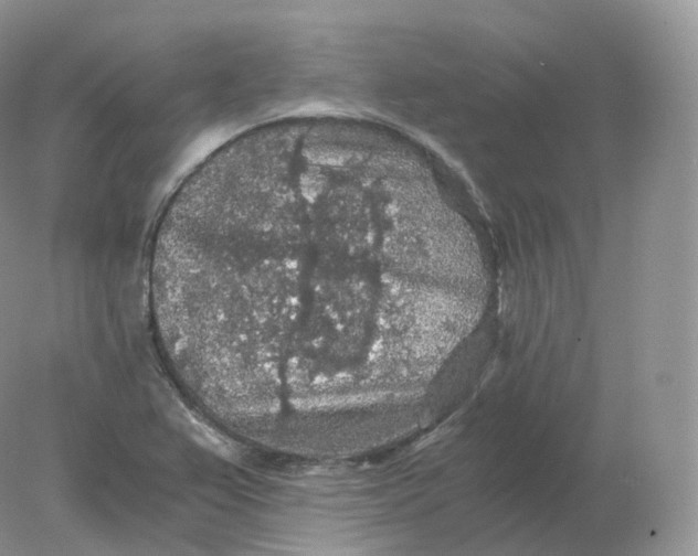 X0000078301367200611172137