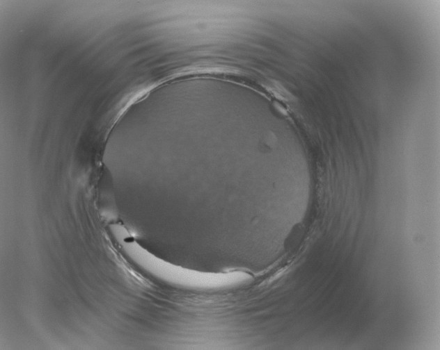 X0000078301369200611172137