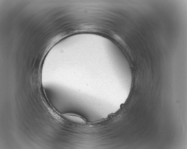 X0000078301370200611172137