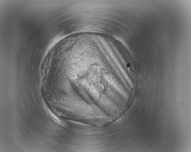 X0000078301371200611172137