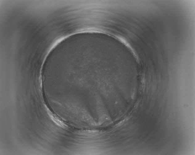 X0000078301372200611172137