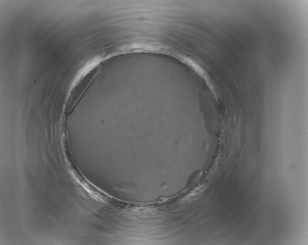 X0000078301373200611172137